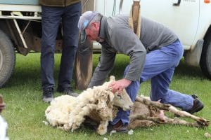 Showtime at Lancefield 3 WEBIMG 7934