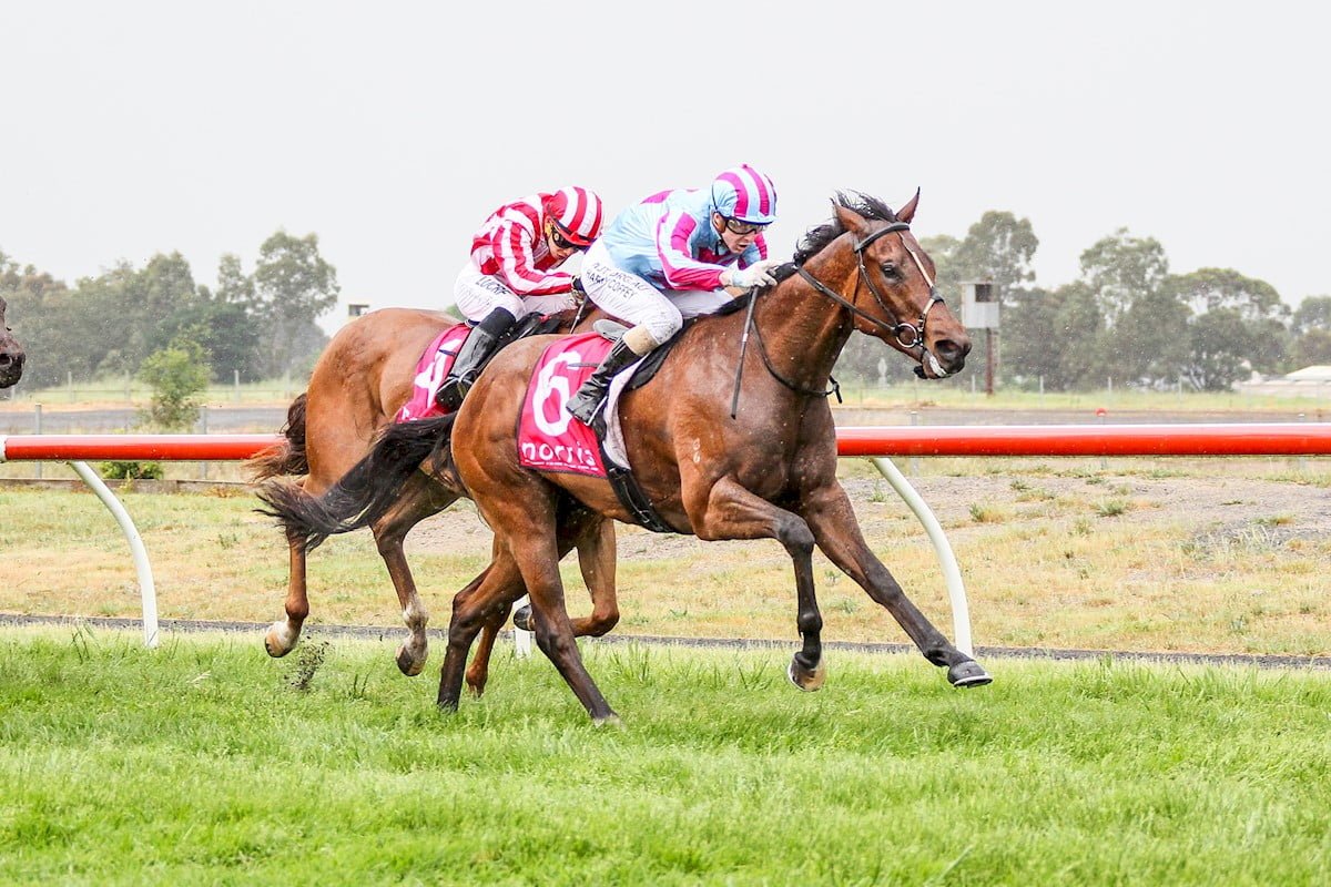 Resident objection over Kilmore Racing Club’s proposal to rezone land