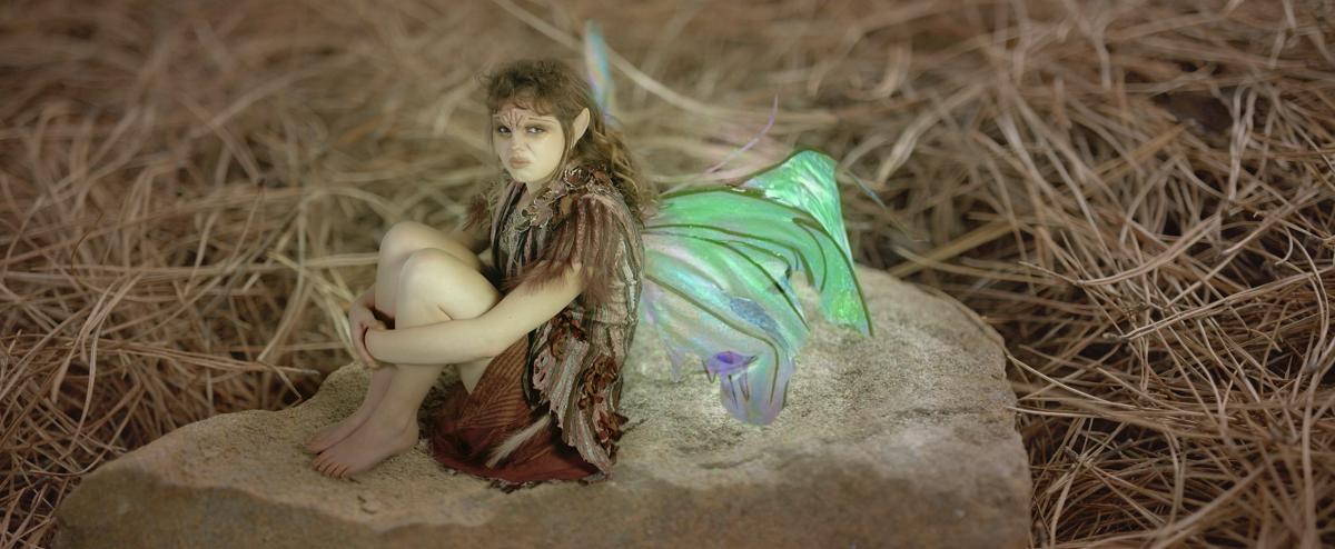 Screen Shot 2020 05 06 at 11.30.39 am