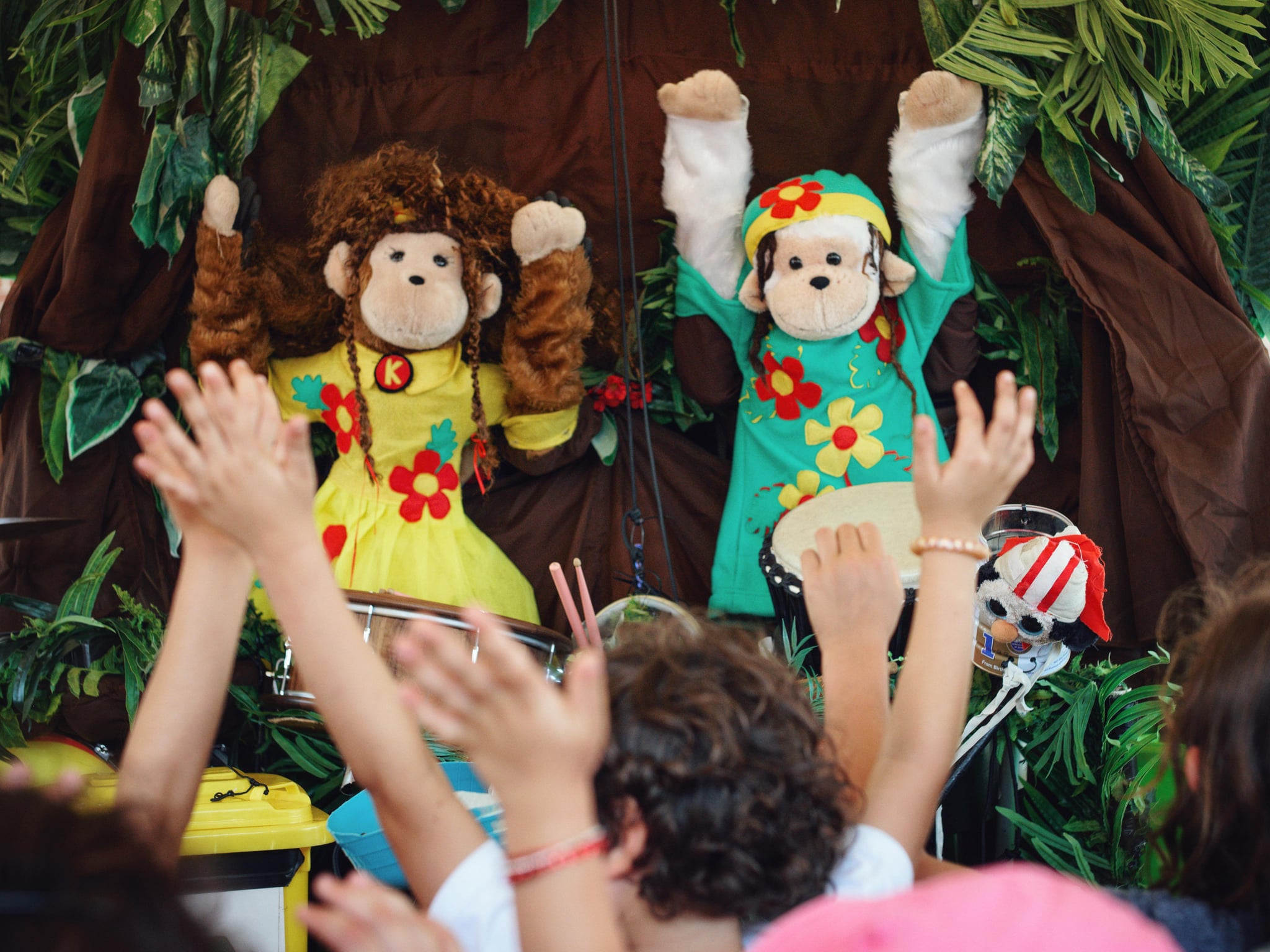 Amazing drumming monkeys