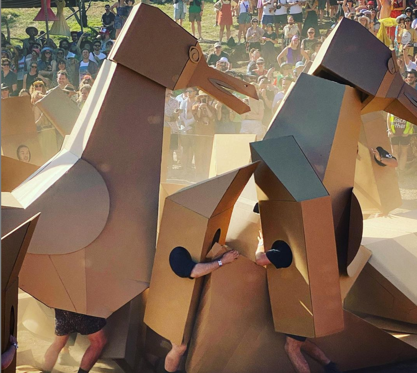 Boxwars Spectacular