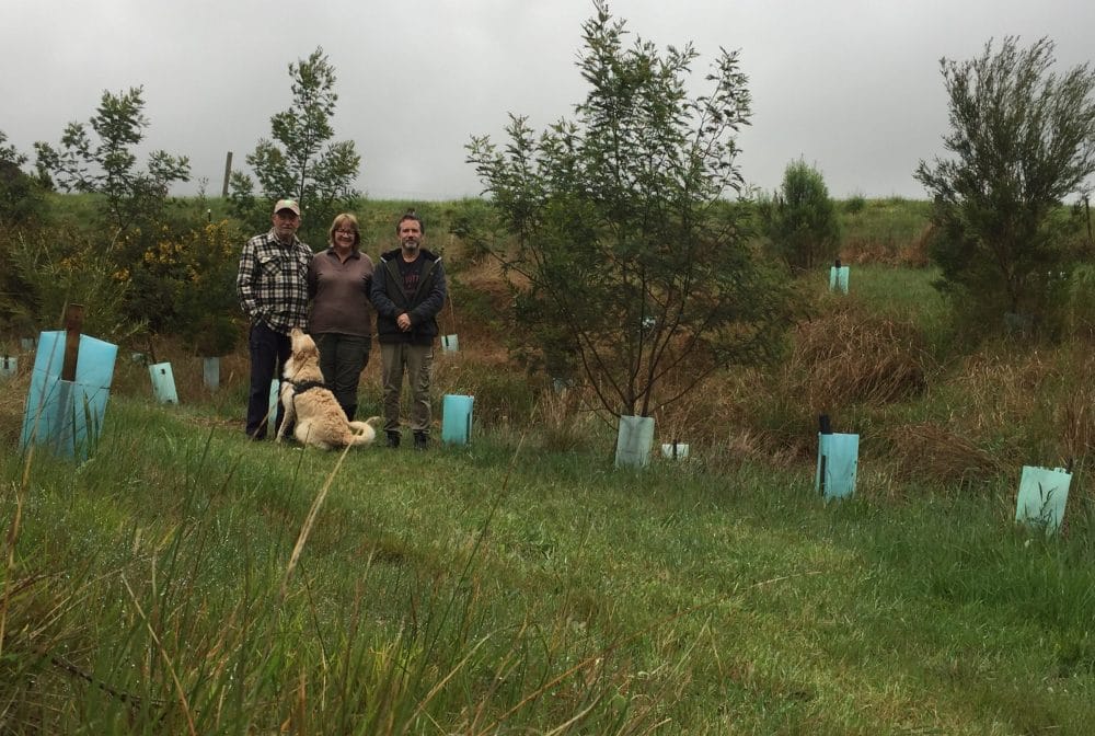 Grant for rural landowners to plant trees
