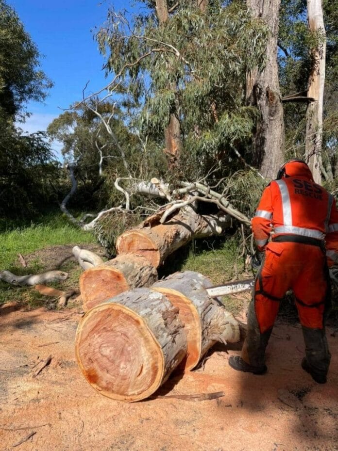 251905201_2772216496410478_8856171617633679831_n