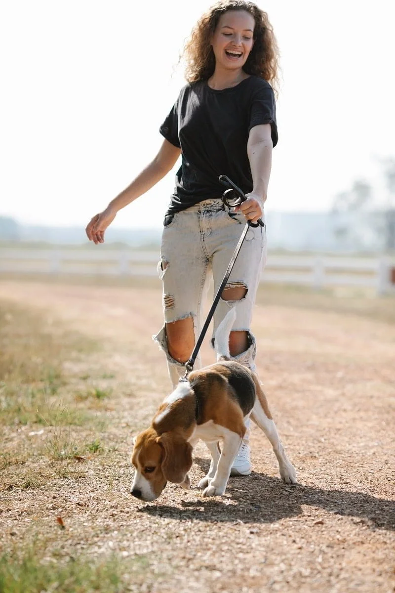 Statistics bite hard as dog attacks grow