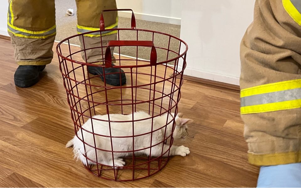 272705468 283997600492842 7507153215492342065 n