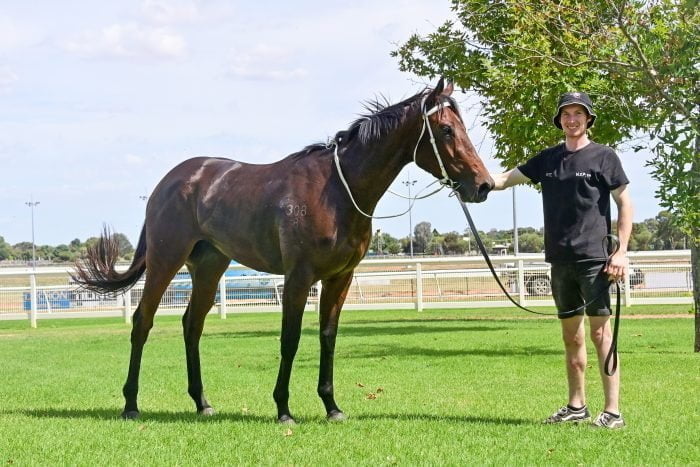 Longshot double for Thompson 2 Vamos Rapido tyson