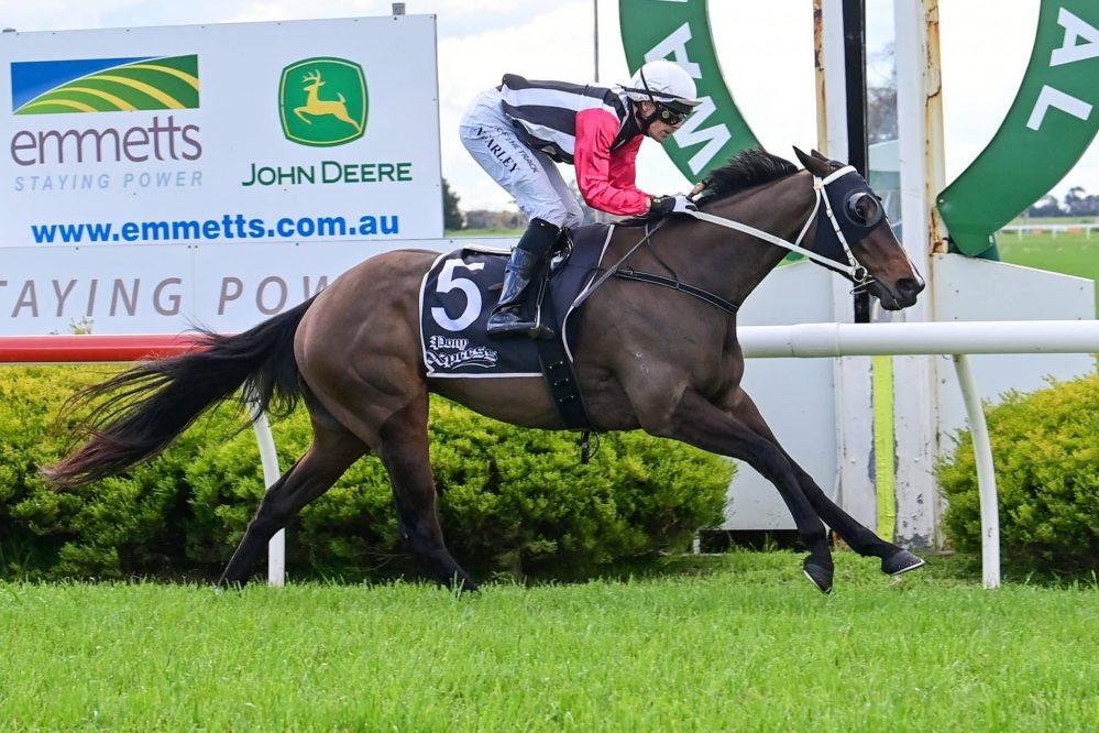 Former home track win for Lovin’ Laughs