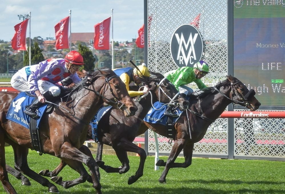 Back-to-back metro wins for Howley