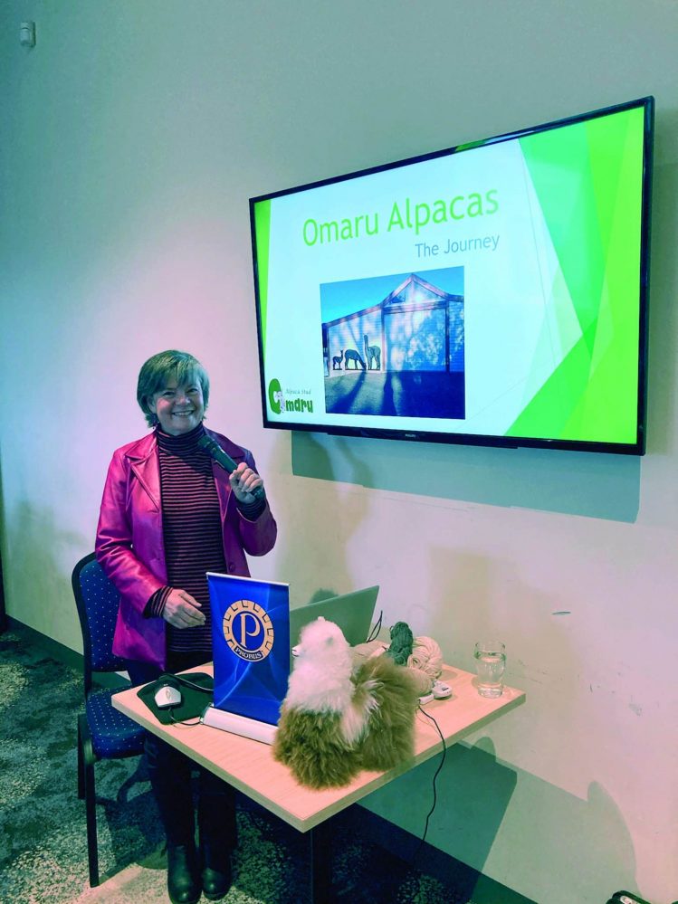 Alpacas on the agenda for Whittlesea’s Combined Probus Club