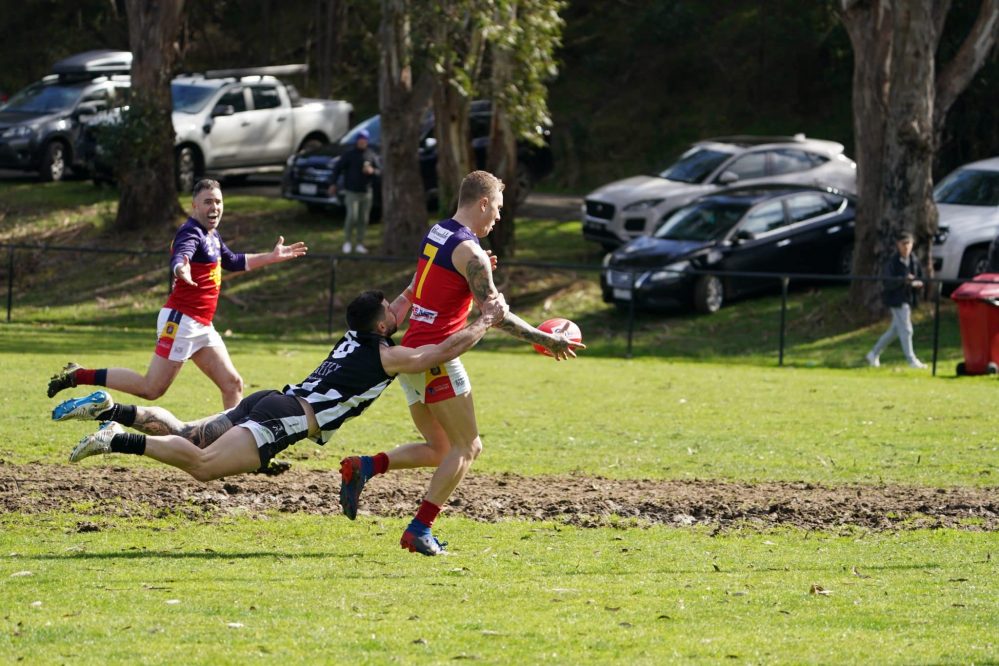 Preliminary pain for Wallan Magpies