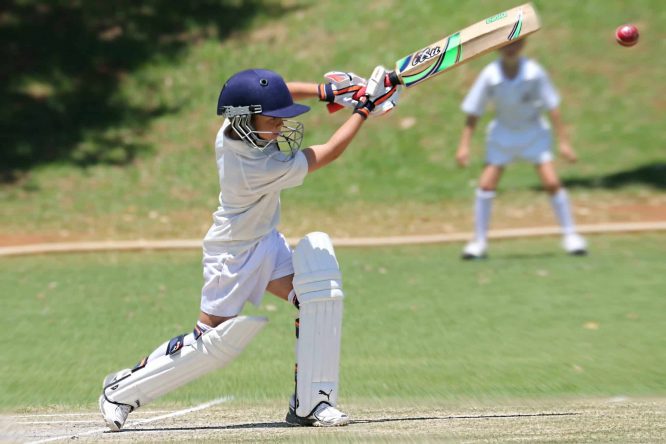Renegades to host Mitchell Shire cricket clinics