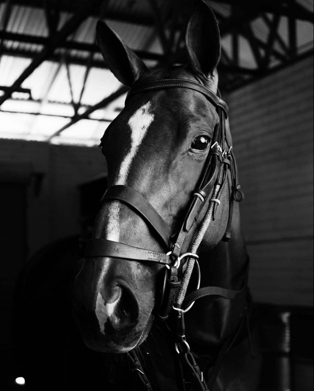 Kilmore trots abandoned due to rain