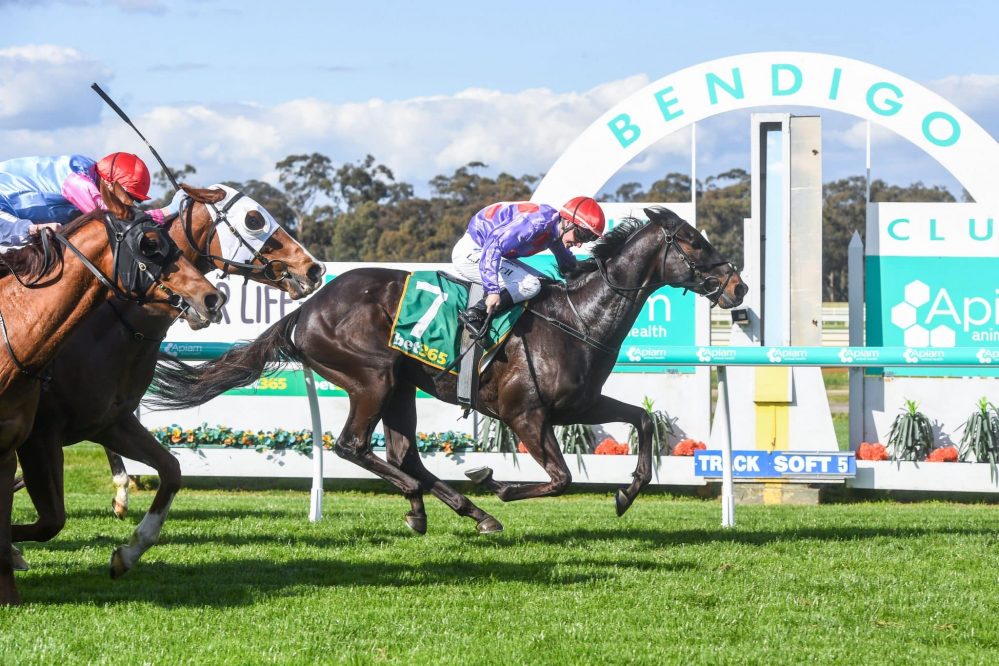 South Aussie takes home Seymour Cup