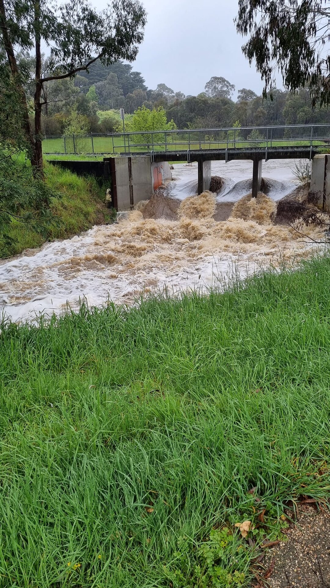 Kilmore Creek behind leisure centre 2