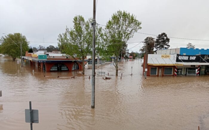 Seymour Sean Botting2 2