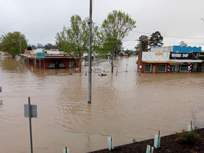 Seymour Sean Botting2