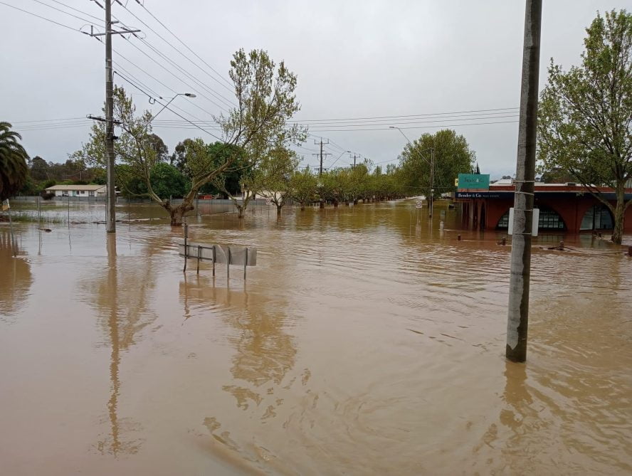 Government grants available for flood victims