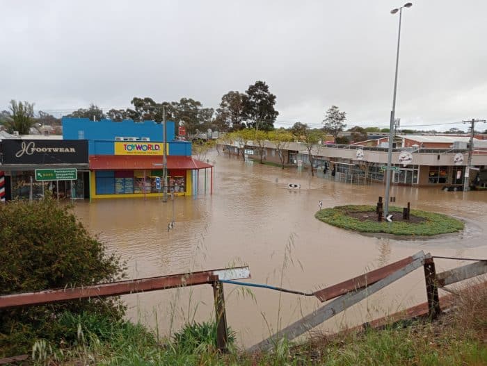 Seymour Sean Botting4