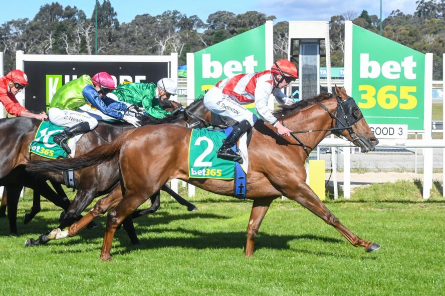 Kilmore Cup this Sunday