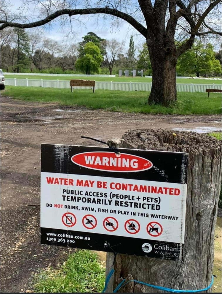 Gisborne cricket community unites for club