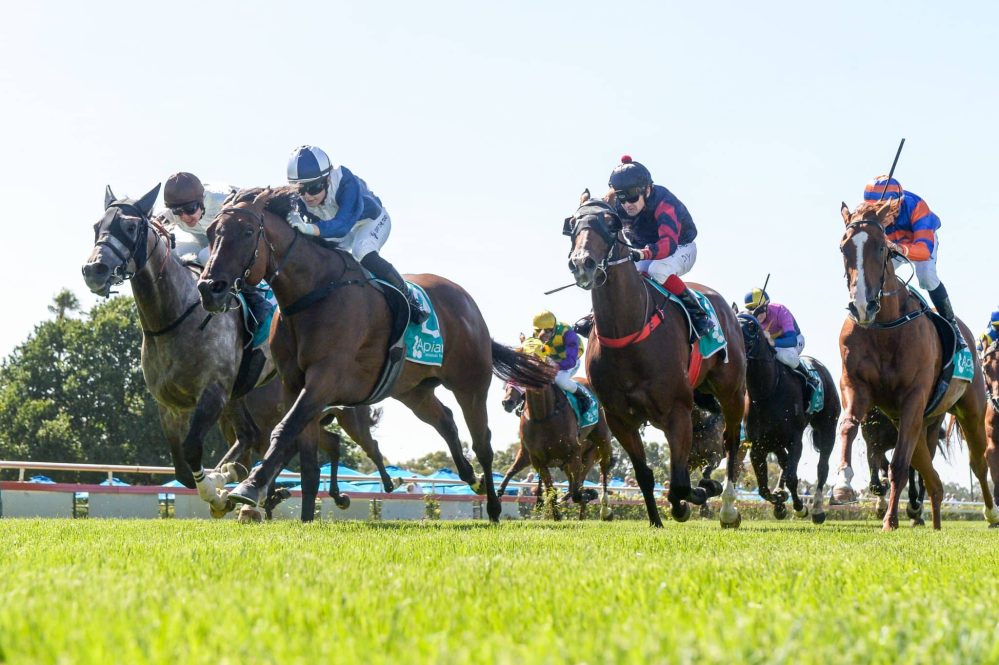 RACING: City next for Emperor