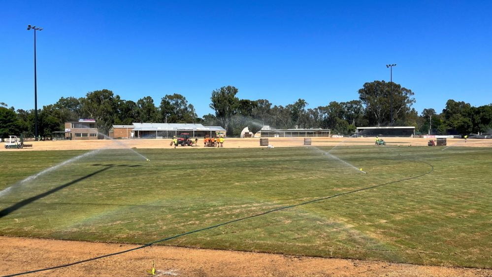 Kings Park Seymour turf