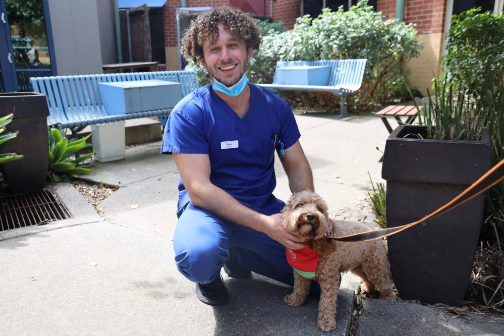 Lifting staff morale in a ‘pawsative’ way