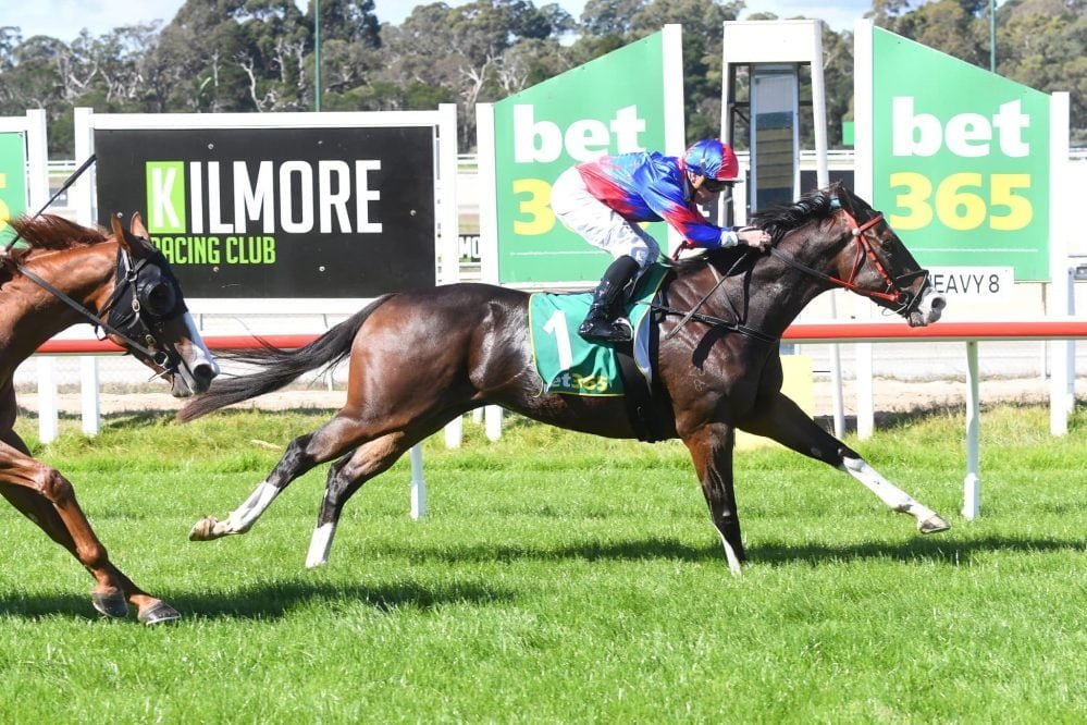 Local trainer scores at Caulfield