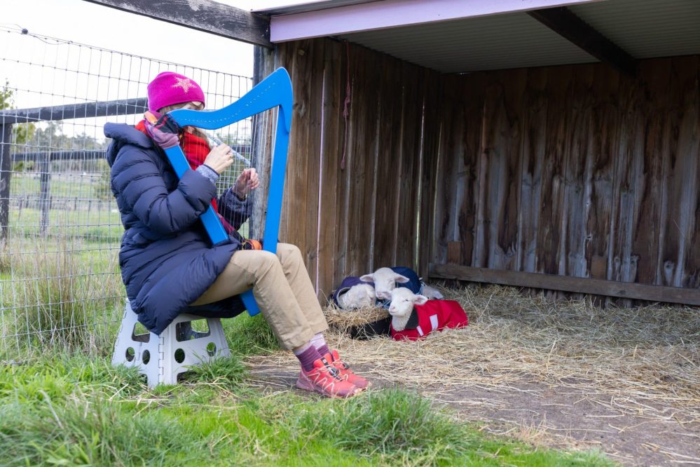 International harp therapists help at Edgar’s Mission