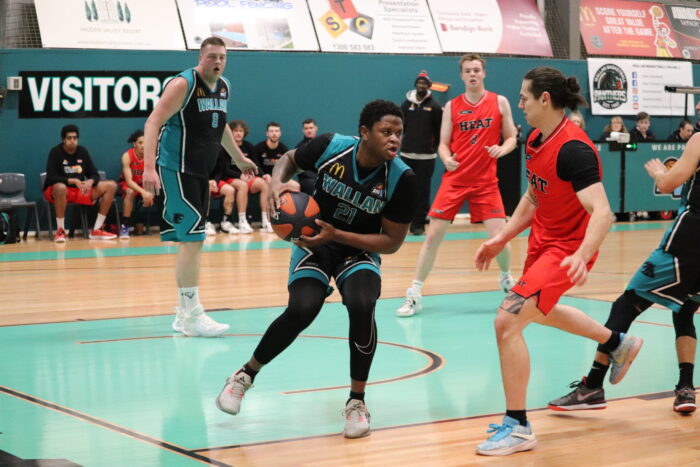 Twin towers dominate for Wallan Panthers 1 IMG 8665 2