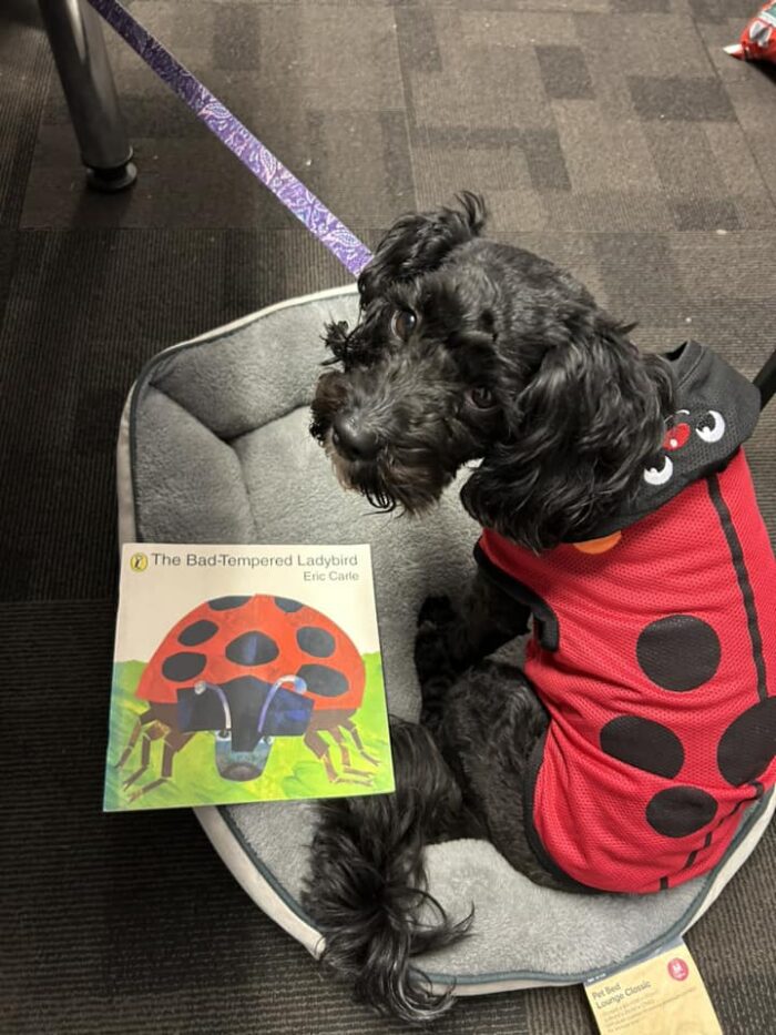 Book Week 2