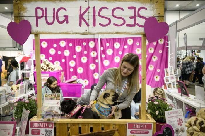 52481916037 439b88628f o