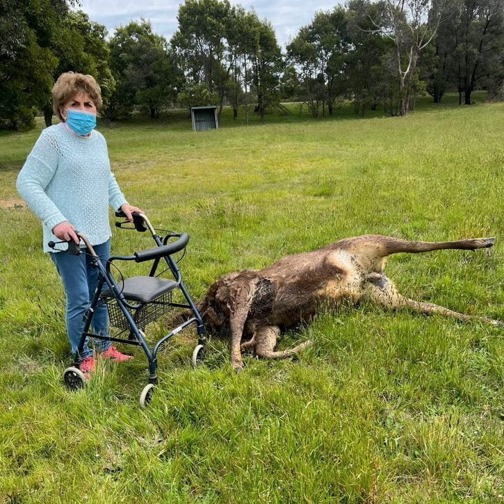Nancy with deer Whittlesea edited