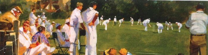 ROVER 2023 11 28 Cricket Scene