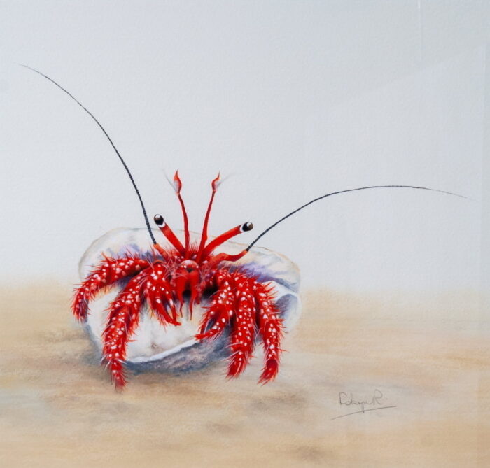 239 Highly Commended Painting Sebastian by Robyn Riley SON09143