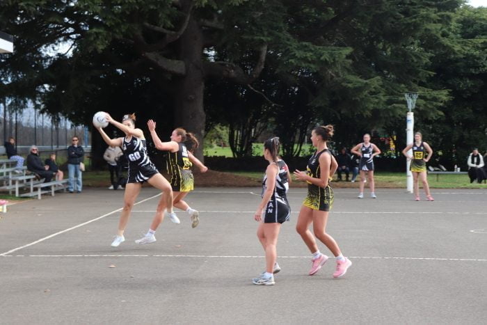 RDFNL Netball