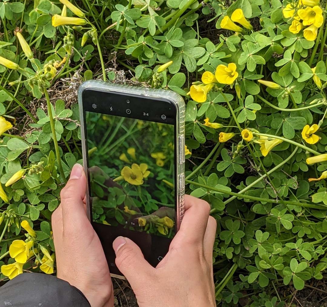 Free nature event this Friday in South Morang