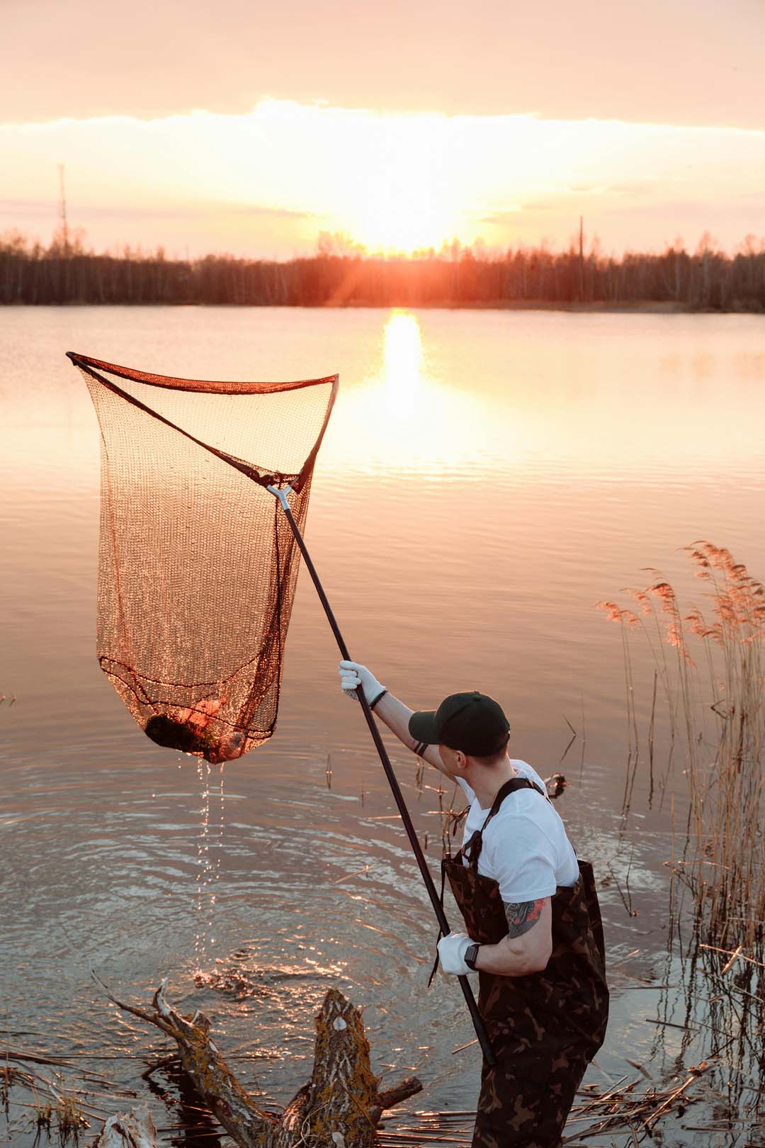 A fishy season for the regions