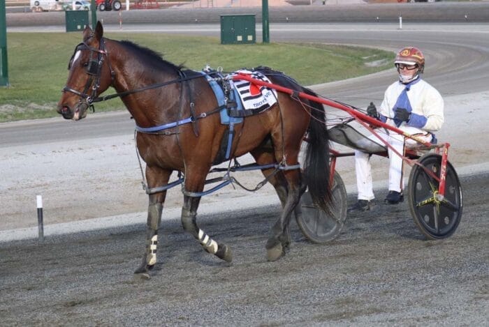 PACE: Layden finished first on Friday night at the Harness Racing Victoria event in Kilmore with driver James Herbertson.
