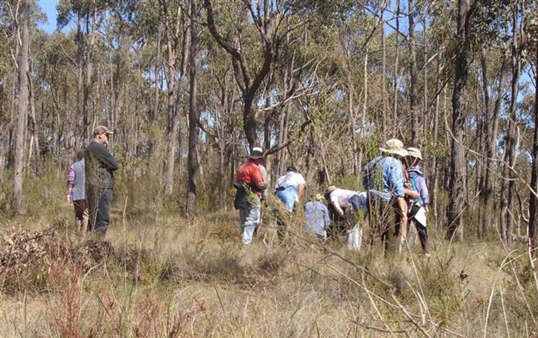 Natural treasures in spring