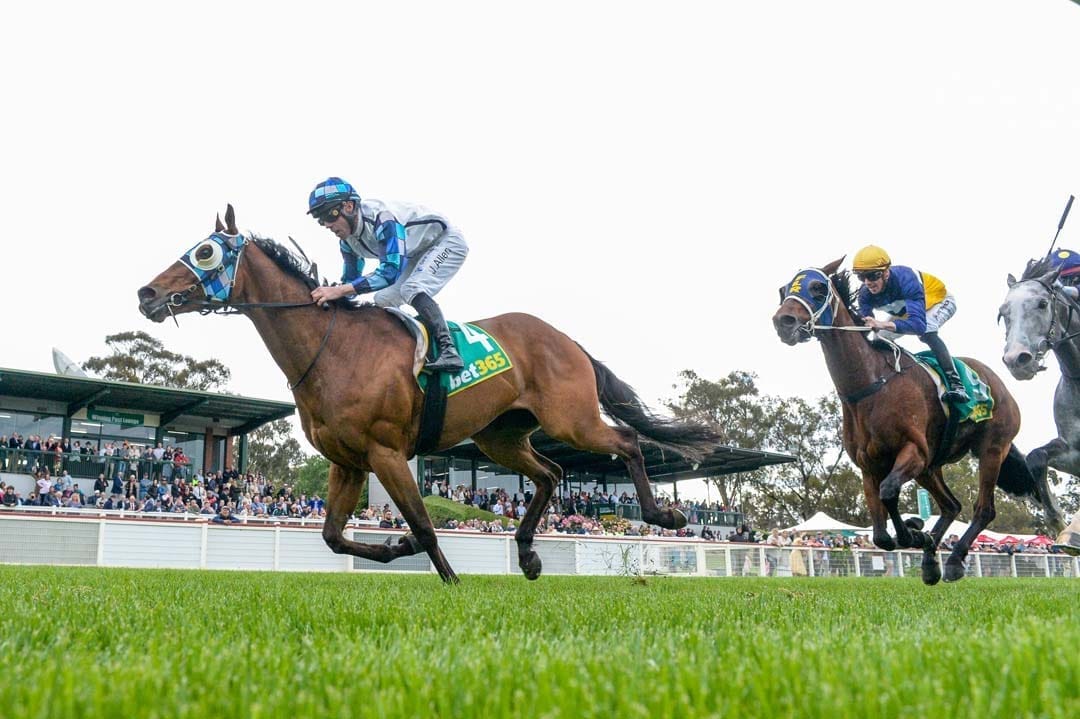 Seymour Cup coming up