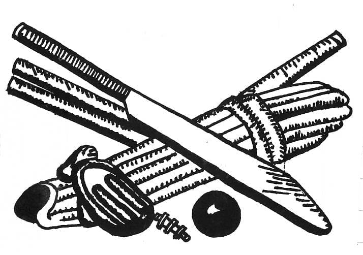 ROVER-2024-11-19_ACK-Cricket-Illustration