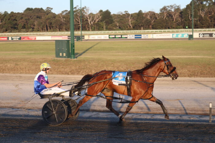 Sulky Snippets 1 IMG 3666