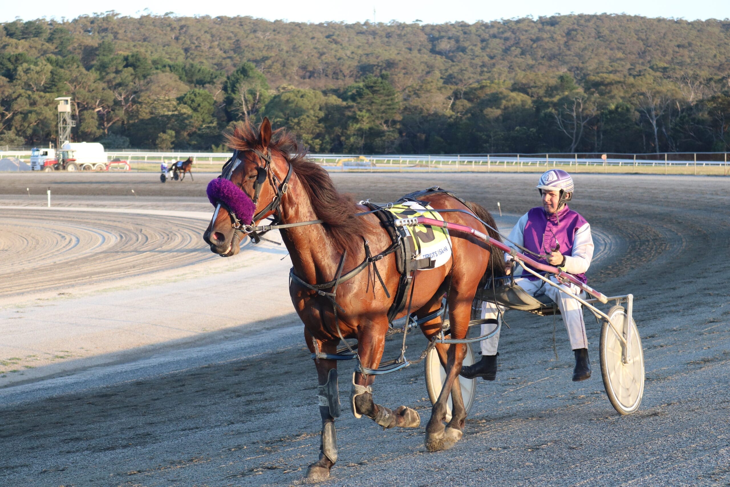 Sulky snippets: Mixed results for trots
