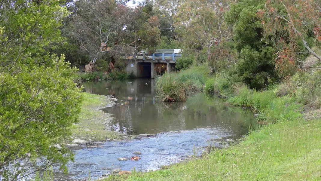 Edgars creek_1068w-WebRdy