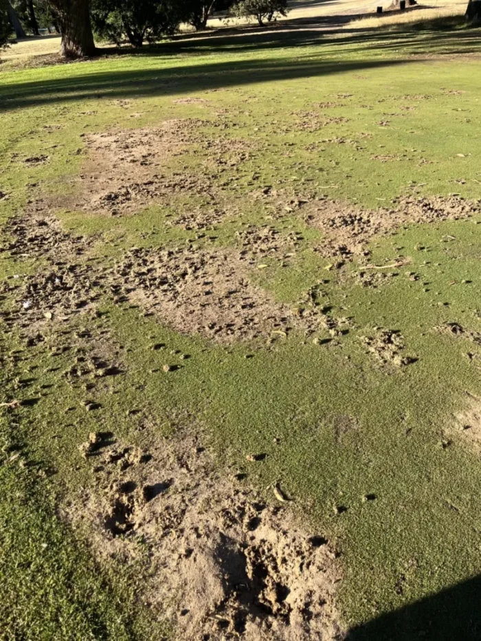 Kilmore Golf Course Jan 19 2025 1068w WebRdy