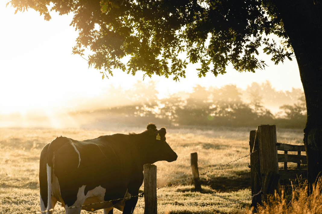Farmers meeting in Pyalong