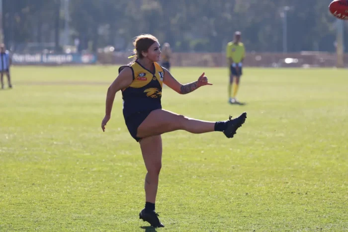 IMG 5653 1068w WebRdy