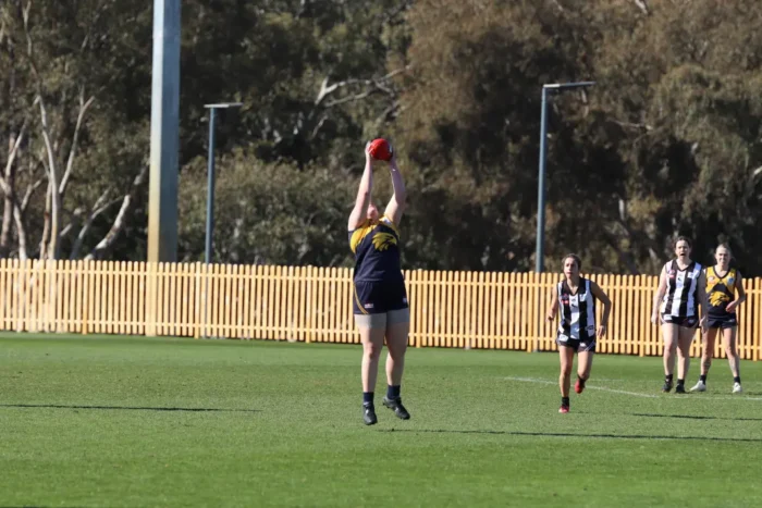 IMG 5803 1068w WebRdy