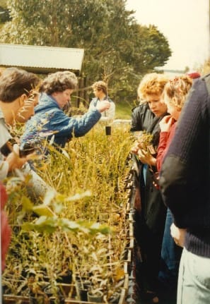 Pretty Sally Gardening Club Hudson Park give a away 1985